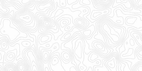 Abstract minimal white curve grid map and topo contour map white background. Topographic contour lines. Seamless pattern with lines Topographic map texture design.