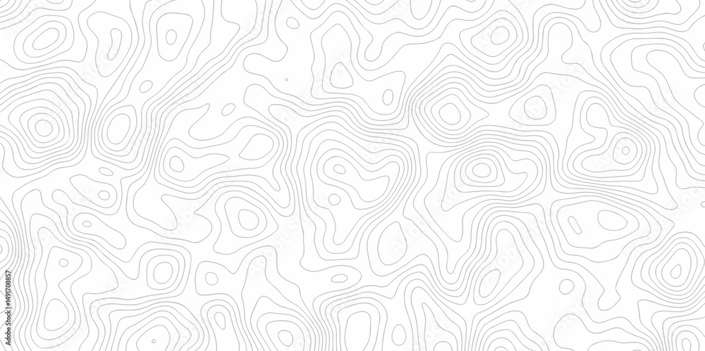 Poster abstract minimal white curve grid map and topo contour map white background. topographic contour lin