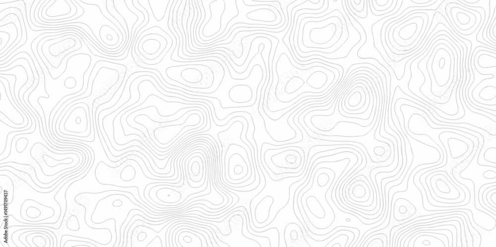 Poster abstract minimal white curve grid map and topo contour map white background. topographic contour lin