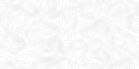 Abstract minimal white curve grid map and topo contour map white background. Topographic contour lines. Seamless pattern with lines Topographic map texture design.	
