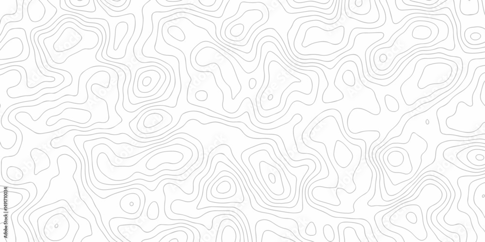 Poster abstract minimal white curve grid map and topo contour map white background. topographic contour lin