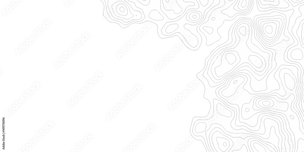 Poster abstract minimal white curve grid map and topo contour map white background. topographic contour lin