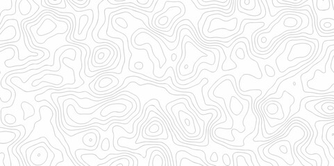 Abstract minimal white curve grid map and topo contour map white background. Topographic contour lines. Seamless pattern with lines Topographic map texture design.	
