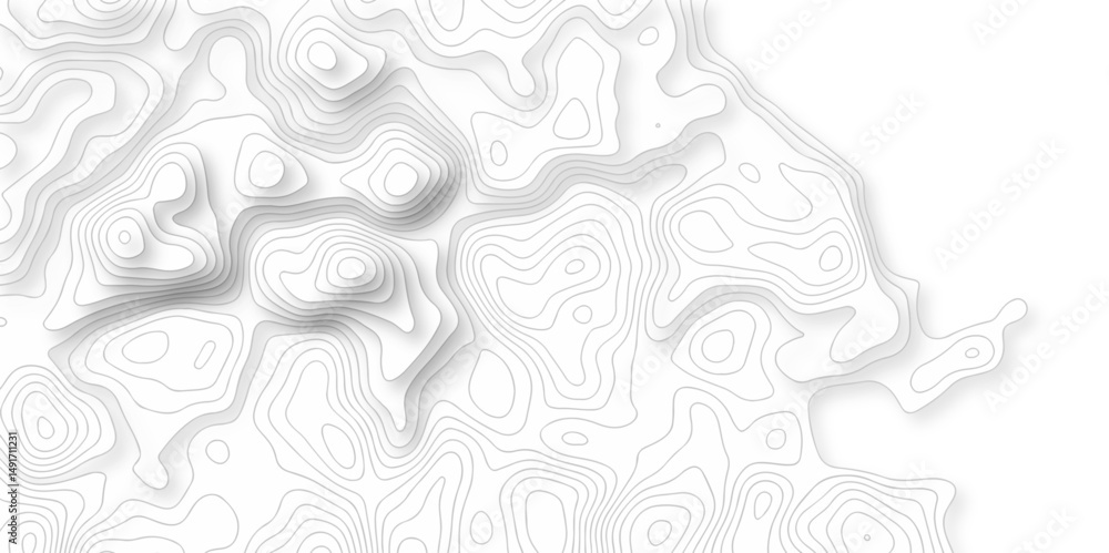 Poster abstract minimal white curve grid map and topo contour map white background. topographic contour lin