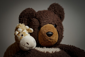 Practice off camera flash shoot w/ the stufties - Teddy and the Giraffe