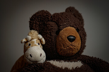 Practice off camera flash shoot w/ the stufties - Teddy and the Giraffe