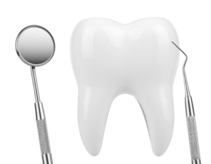 A large white tooth model is flanked by a dental mirror and a dental explorer.