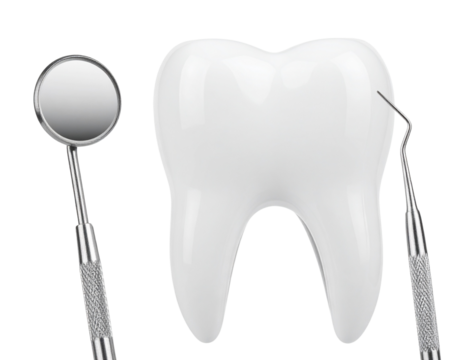 A large white tooth model is flanked by a dental mirror and a dental explorer.