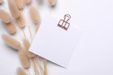 Memo white square sheet of paper with binder clip with lagurus flowers on white background