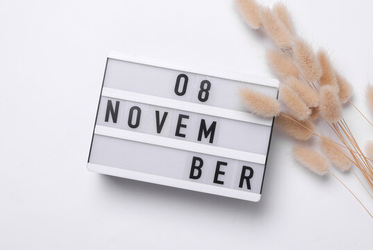 8 november letterboard text on Lightbox with dry lagurus flowers, white background. Seasonal calendar. Flat lay. Top view