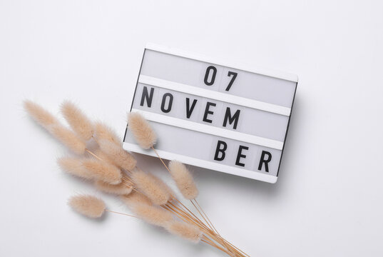 7 november letterboard text on Lightbox with dry lagurus flowers, white background. Seasonal calendar. Flat lay. Top view