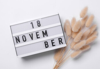 18 november letterboard text on Lightbox with dry lagurus flowers, white background. Seasonal...