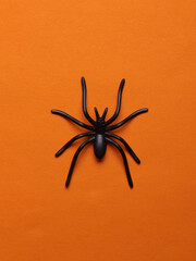 Halloween decoration spider on orange background. Top view