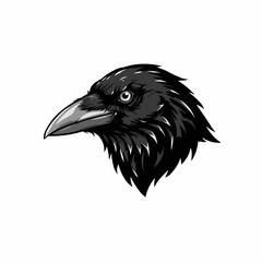 Close-up view of a stylized black crow's head with a sharp beak and piercing eye