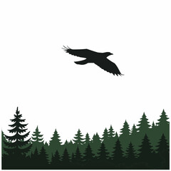 A striking silhouette of a bird in flight against a clean white background