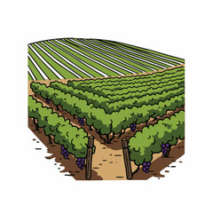 Vineyard vista with neat rows, lush greenery, & grapes. Serene countryside