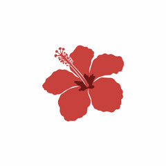 Red hibiscus blossom in corner of white background. Stigma details visible; tropical floral