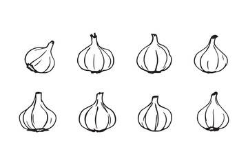 Garlic Bulbs line art and black color