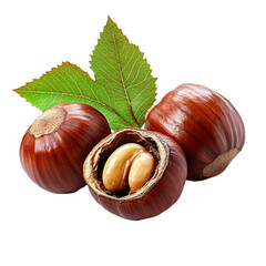 Hazelnuts and leaf closeup shot showing whole and opened nuts