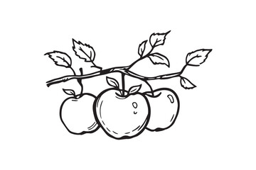 apple tree branch line art and black color 