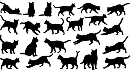 Obraz premium Feline Shadow Play AI Generated