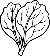 Swiss chard vegetable outline vector and illustration, coloring book page