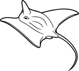 stingray outline vector and illustration, coloring book page