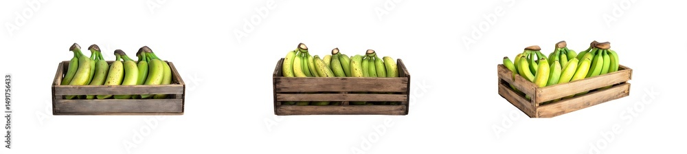Poster set of wooden crates filled with bunches of unripe bananas. isolated on transparent background