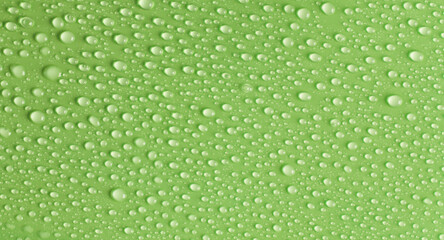 Water drops on green background. Surface for design