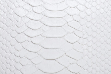 White Snake Leather Background Texture