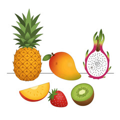 Assorted Tropical Fruits Illustration