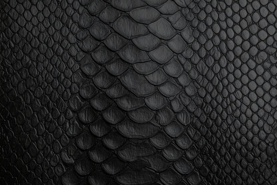 Black snake Leather background texture