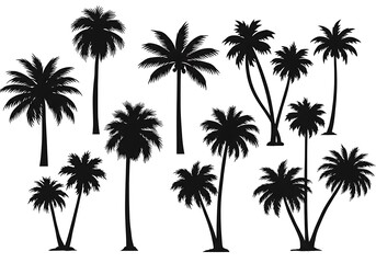 Palm Silhouette Symphony AI Generated