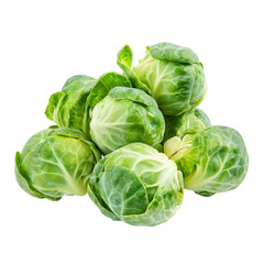 Fresh green brussels sprouts a healthy vegetable harvest