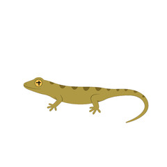Fototapeta premium Brown Spotted Gecko Profile View
