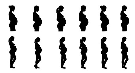 The Nine Months: A Silhouette Journey AI Generated