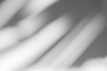 Wall interior background, studio and backdrops show products.with shadow from window color white and grey. background for text insertion and presentation product	