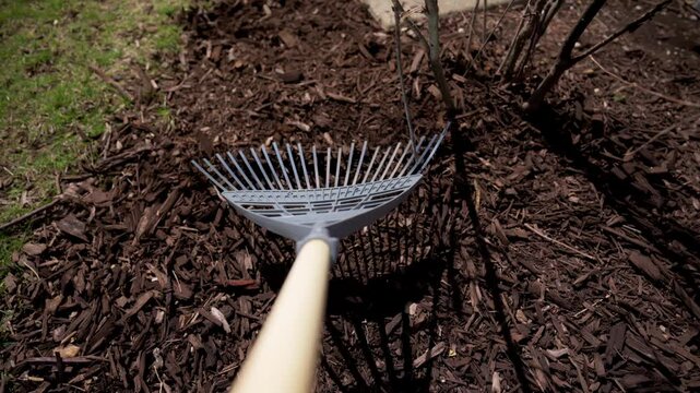 Gardener spreads pine bark mulch and feed the plants near the house. Seasonal works in the garden. Landscape design. Landscaping. 