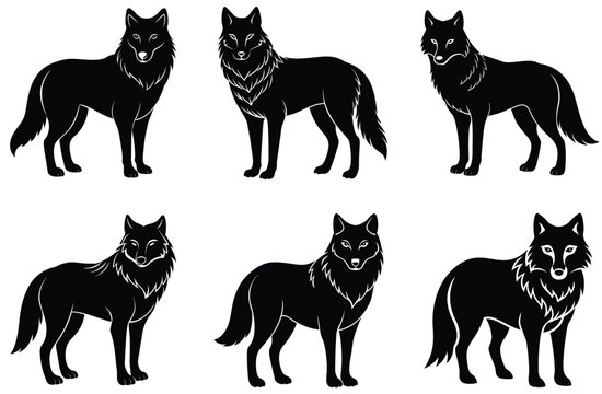 artcit wolf vector animel