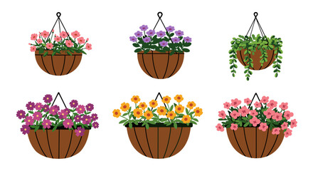 Hanging flowerpots and plants collection