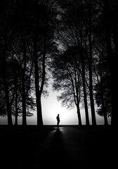 Silhouette in Twilight's Embrace