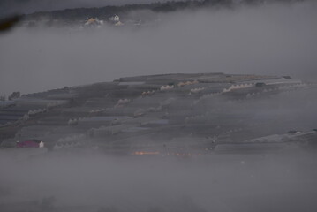 fog on the river