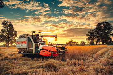 A combine harvester machine is in working in a growth field of crop ripening while the sun sets,...