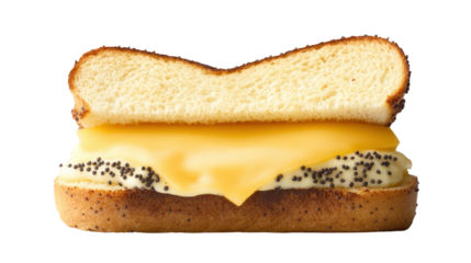 An appetizing grilled cheese sandwich with poppy seeds is shown on a white background in a close up view.