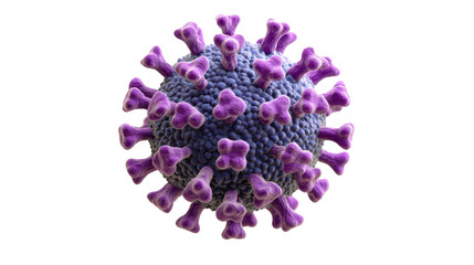 Microscopic view of a purple coronavirus with spikes over a white background exhibiting viral infection.