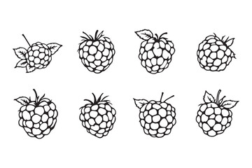 raspberries with leaves line art and black color