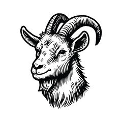 Vintage Black and White Goat Head Illustration