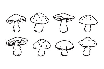 reishi mushroom line art and black color