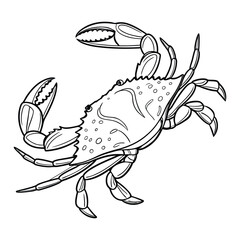 Crab Vector Icon Set – Cute and Realistic Crab Illustrations for Print & Digital Use, this high-quality Crab Vector Icon Set featuring cute, cartoon, and realistic crab designs. Perfect for beach. 