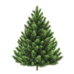 Fototapeta premium A full green pine Christmas tree isolated on white background